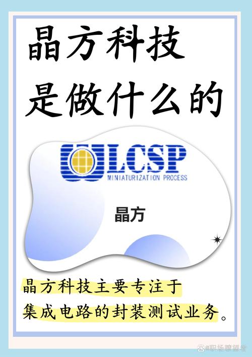芯连万物，策动未来 浅谈影像与生物识别芯片及增值电信业务的协同之道